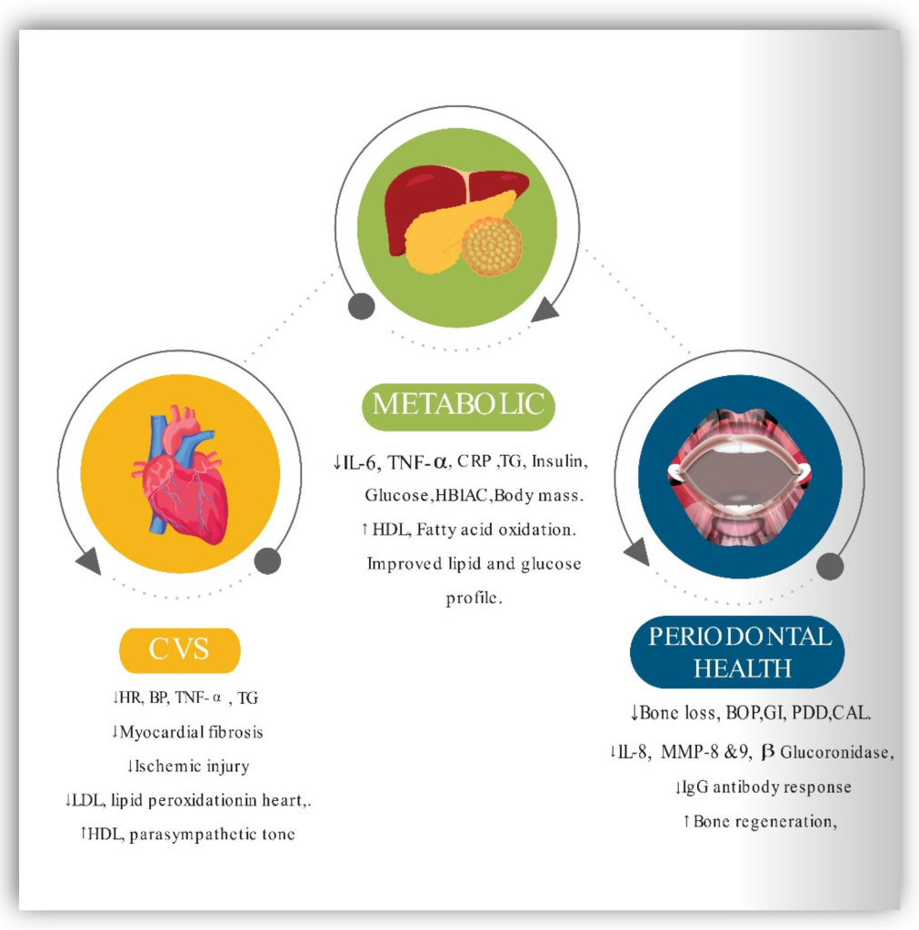 The Impact of Intermittent Fasting on Cardiovascular Health